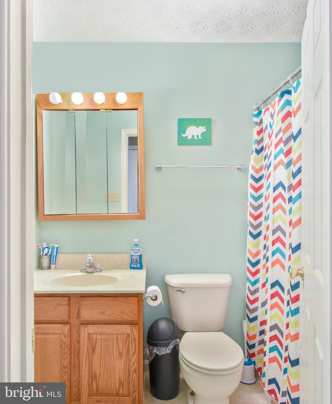 247 Rock Church Road Elkton, MD 21921 - Photo 24 of 31 Extra full bath on upper level