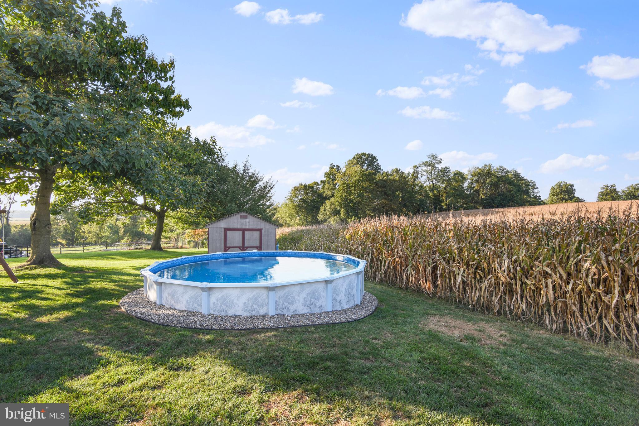 247 Rock Church Road Elkton, MD 21921 - Photo 28 of 31 New above ground pool installed this summer