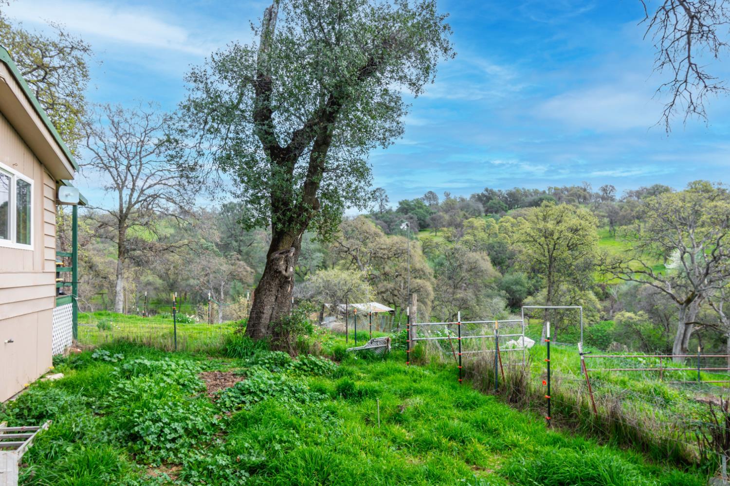 2020 Kilaga Springs Road Lincoln, CA 95648 - Photo 44 of 48