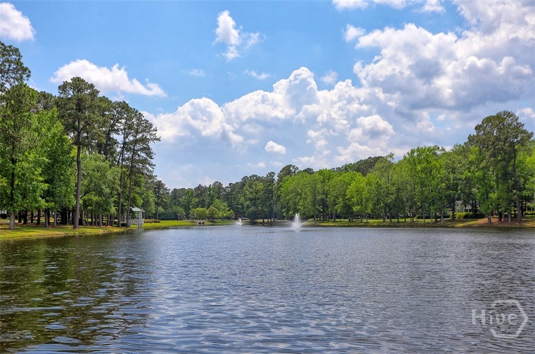 105 Willowpeg Road Rincon, GA 31326 - Photo 55 of 55