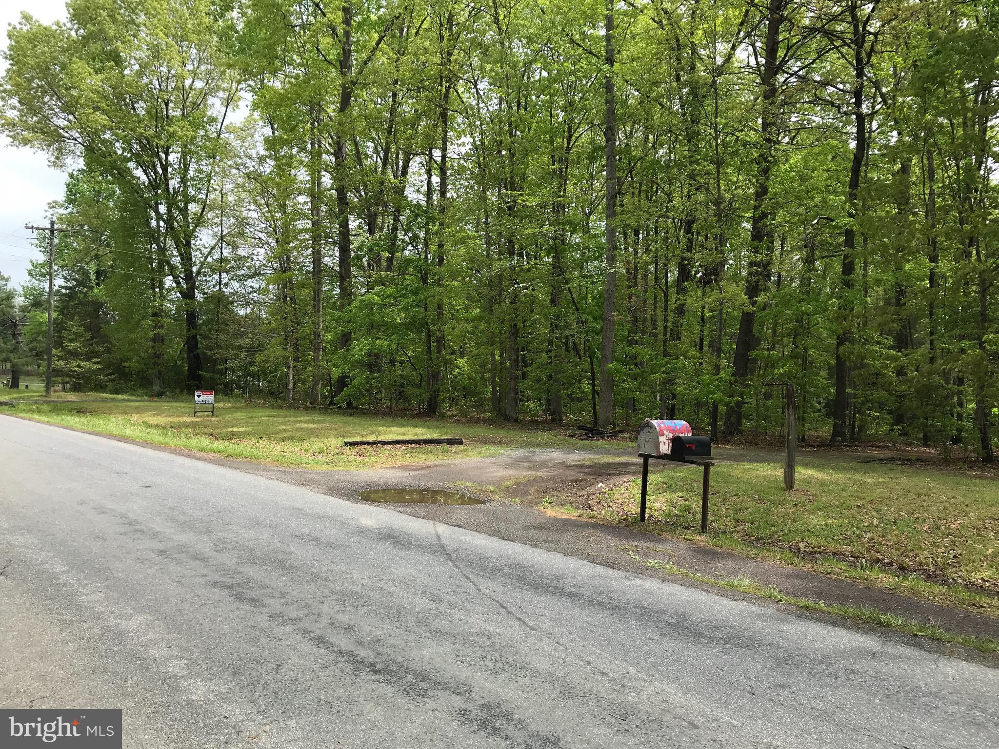 31606 Indiantown Road Locust Grove, VA 22508 - Photo 3 of 24 Gallery Image 3