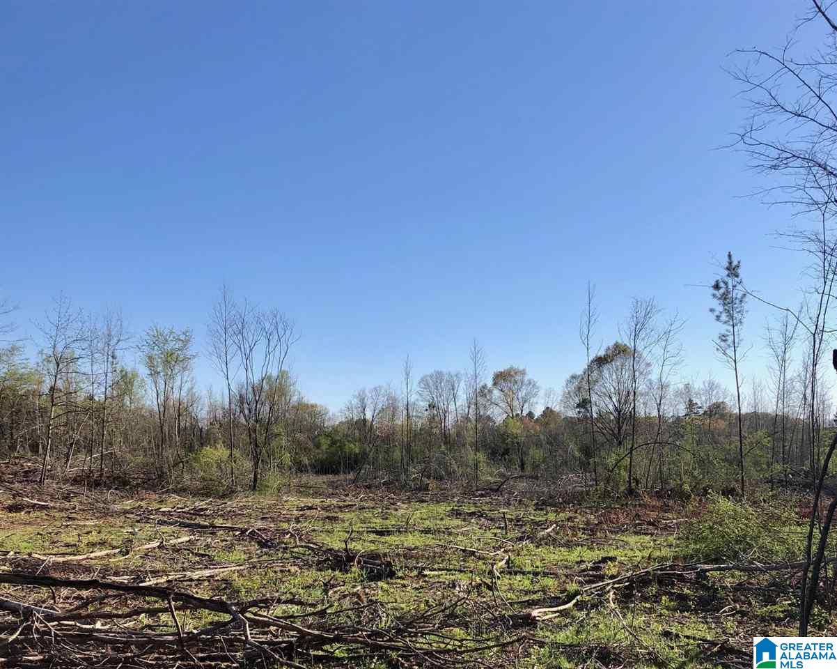 43-acres Wills Farm Road, Unit 43 ACRES Lincoln, AL 35096 - Photo 7 of 19