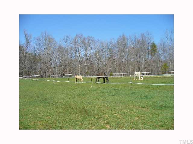 1190 Willie Gray Road Timberlake, NC 27583 - Photo 7 of 7 Pasture