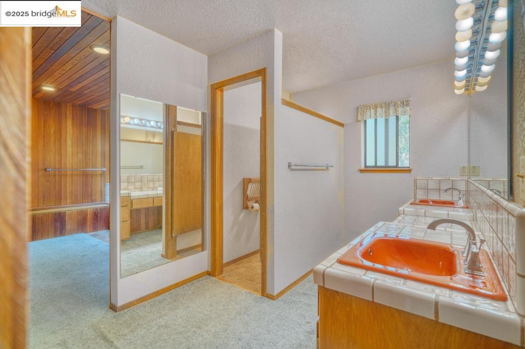 19195 Ferretti Road Groveland, CA 95321 - Photo 14 of 51 Full bathroom featuring light colored carpet, double vanity, and a textured ceiling