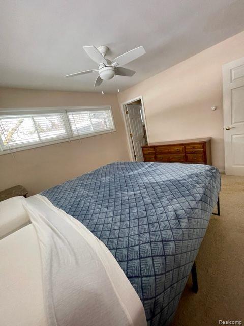 254 Texas Avenue Rochester Hills, MI 48309 - Photo 10 of 29