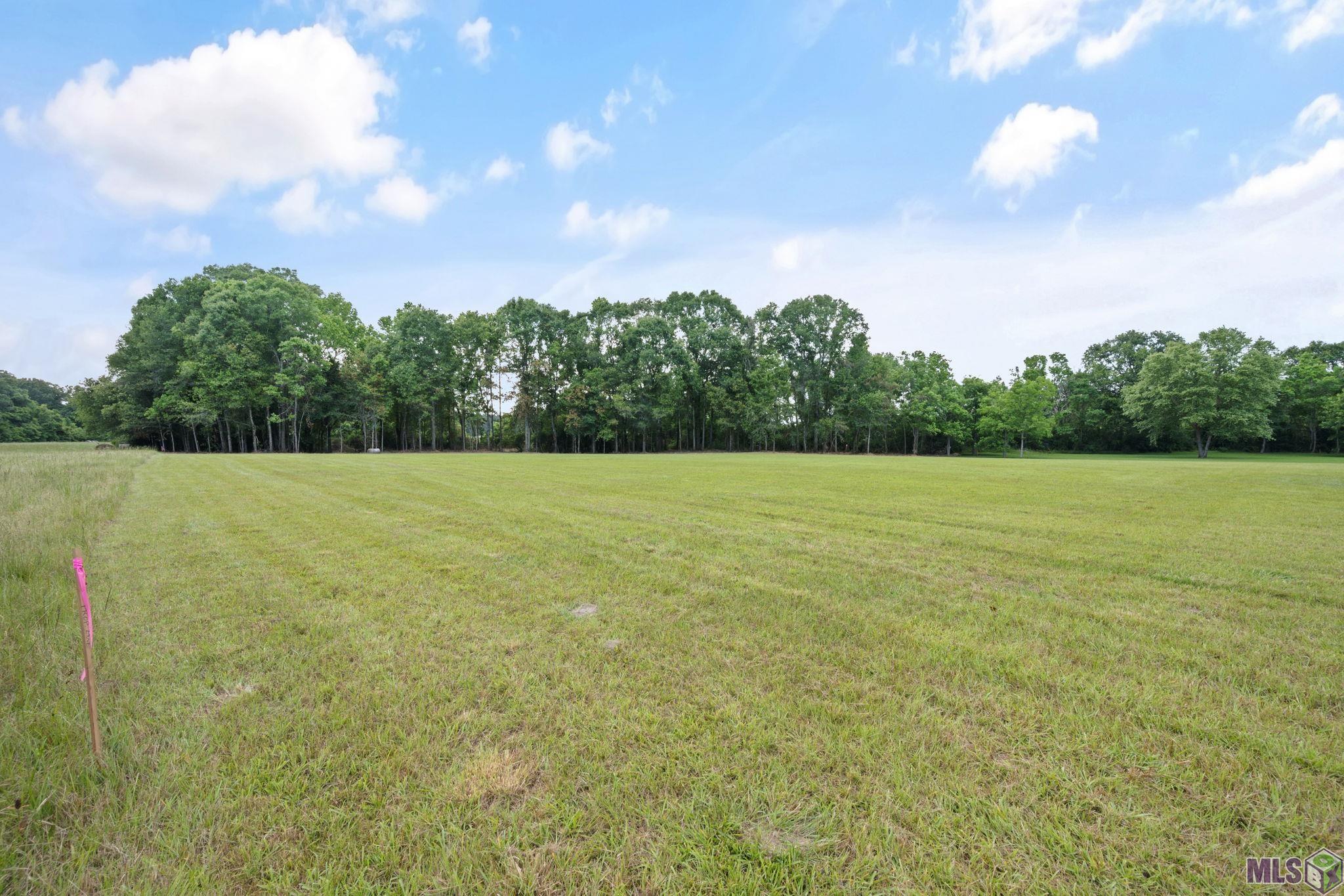 10440 Bank Street Clinton, LA 70722 - Photo 6 of 27