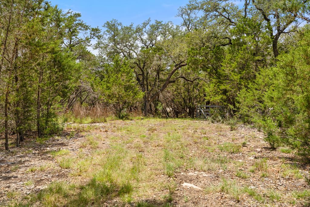 577 Rocky River Road, Unit 8 Blanco, TX 78606 - Photo 11 of 14 View from the Road, View from the road looking toward the gate.