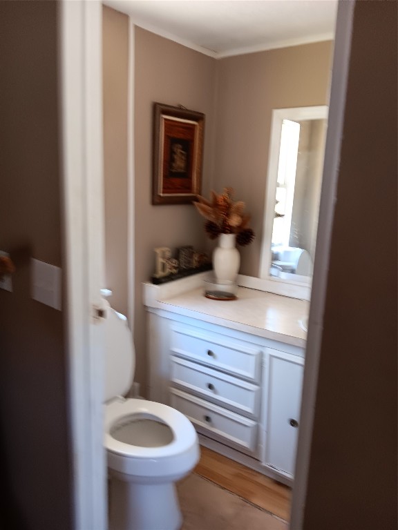420 Mangum Road Livingston, TX 77351 - Photo 20 of 36 a bathroom with a toilet a sink and mirror