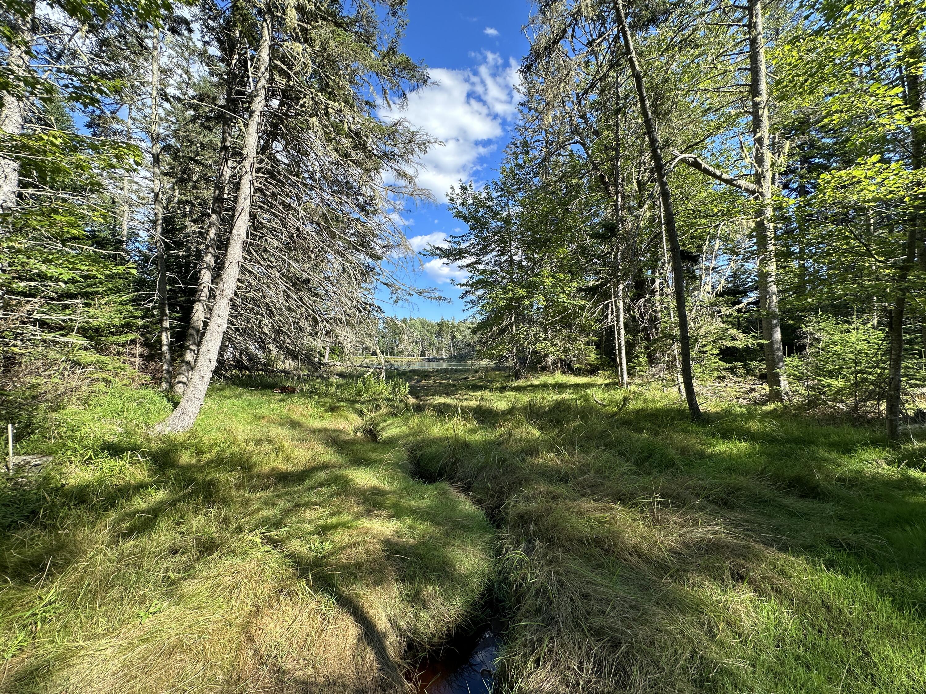 31 Fay Road Spruce Head, ME 04859 - Photo 73 of 77 Brook - Late Afternoon