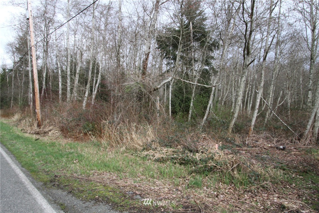 120 Boundary Bay Road Point Roberts, WA 98281 - Photo 4 of 9 Gallery Image 4