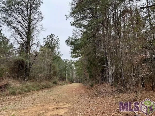 $49,000 | 0 Maypop Lane, Meadville, MS 39653