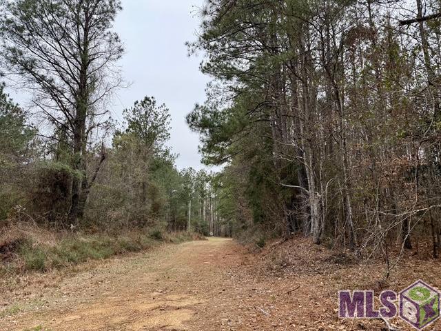 0 Maypop Lane Meadville, MS 39653 - Photo 1 of 3
