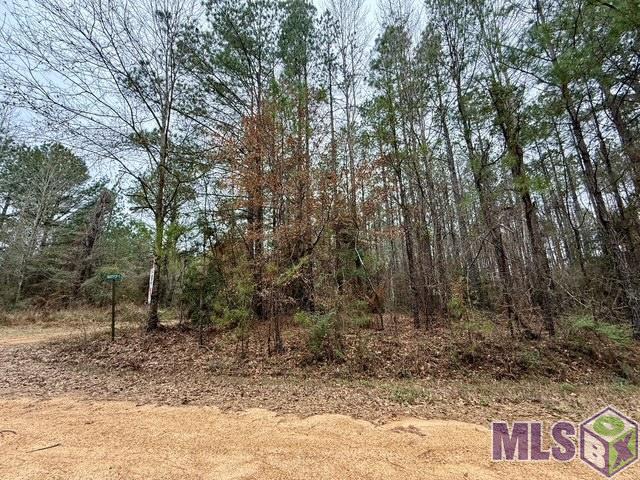 0 Maypop Lane Meadville, MS 39653 - Photo 2 of 3