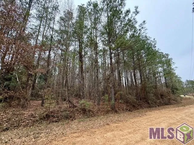 $49,000 | 0 Maypop Lane, Meadville, MS 39653