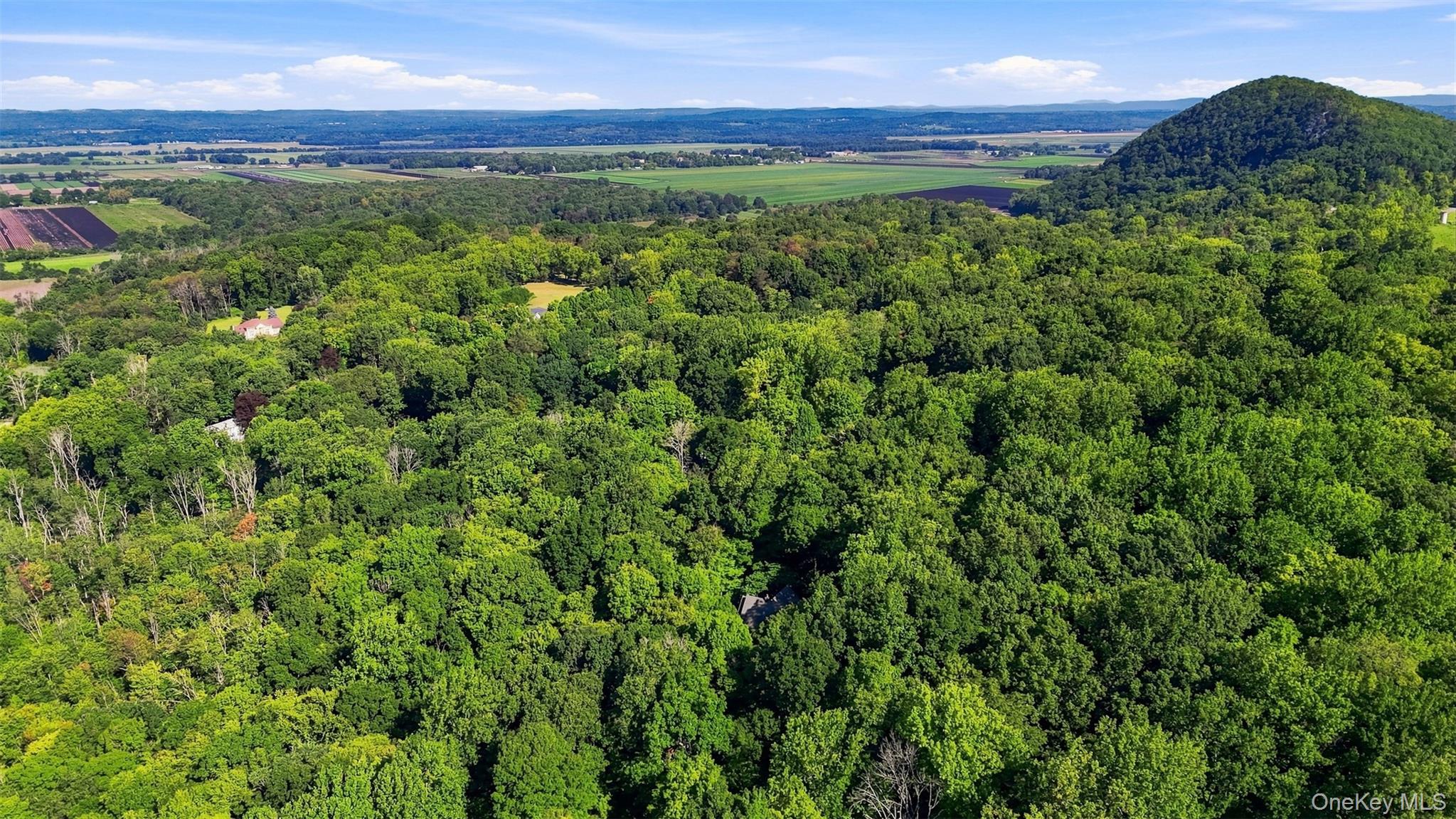 45 Chardavoyne Road Warwick, NY 10990 - Photo 5 of 43 Expansive wooded setting