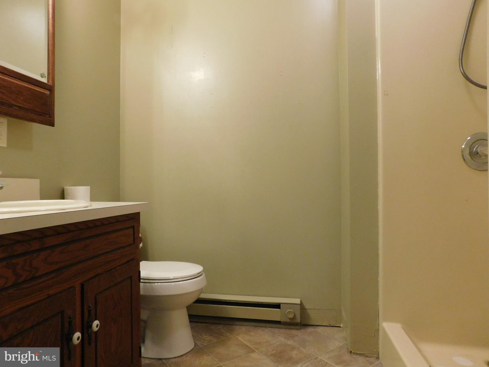 13166 Welty Road Waynesboro, PA 17268 - Photo 11 of 20 Master bath