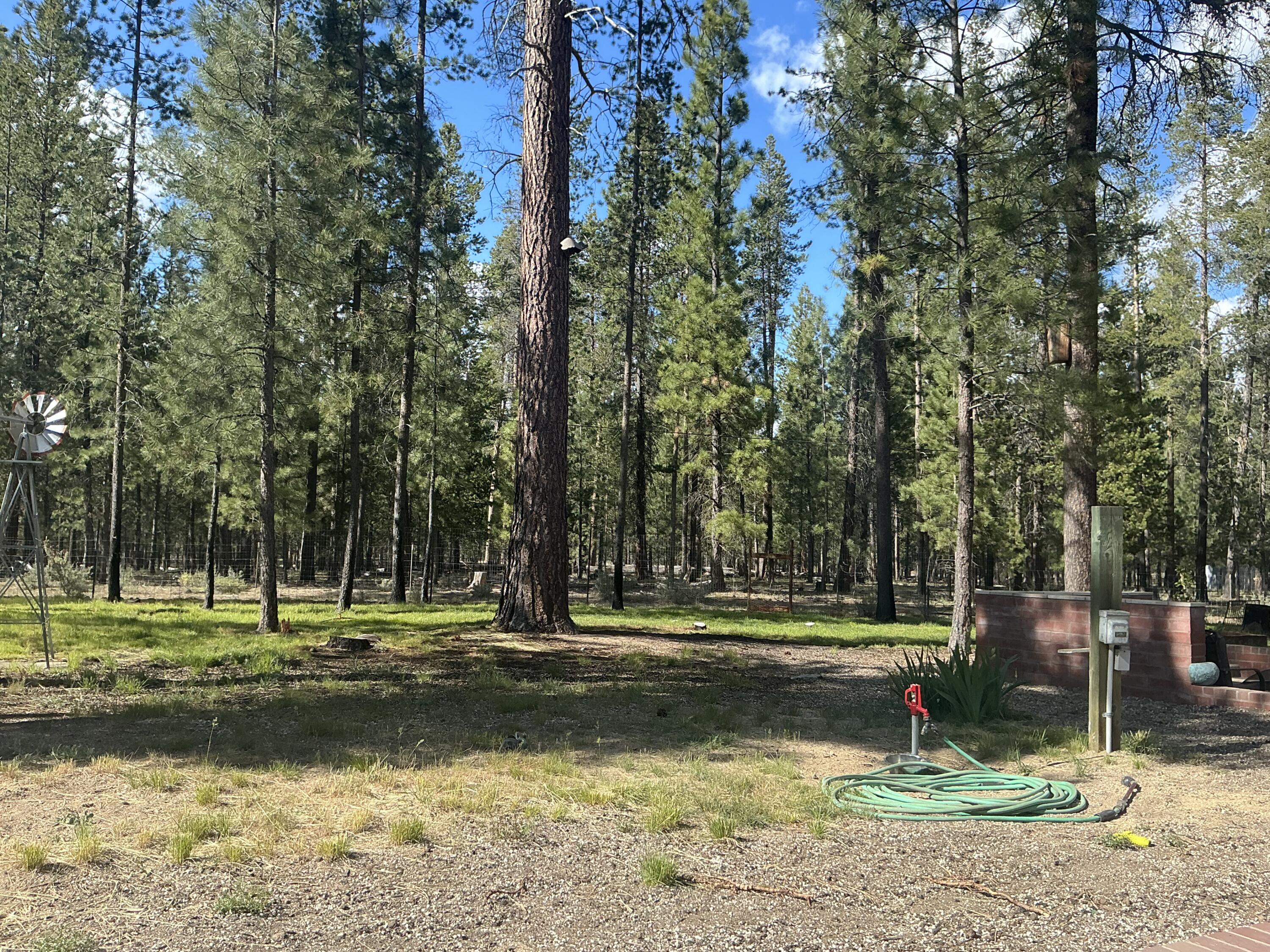 51829 Pine Loop Drive La Pine, OR 97739 - Photo 23 of 23 Towards the back left side of lot