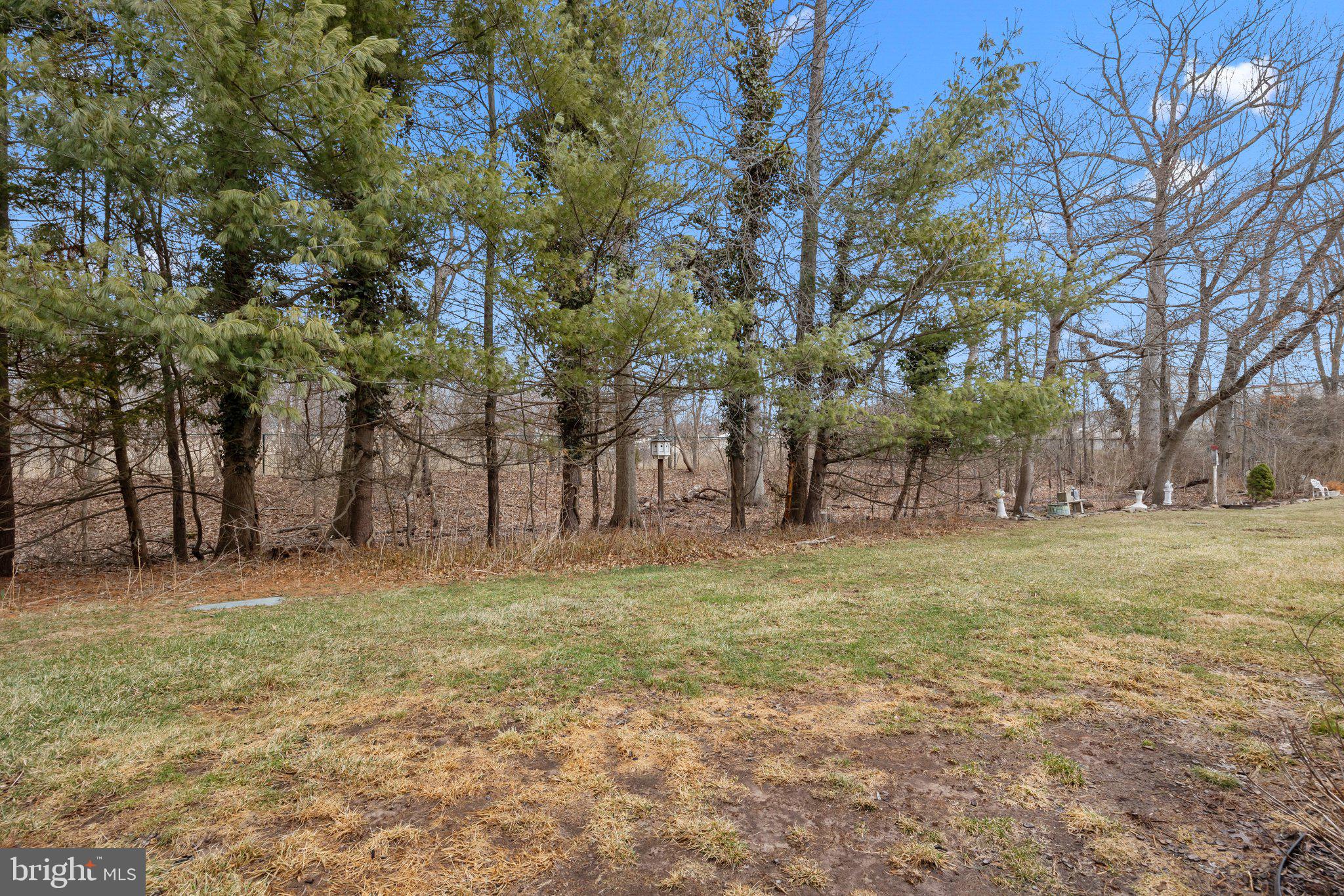 609 Hampton Court Doylestown, PA 18901 - Photo 40 of 41 a view of a field with trees