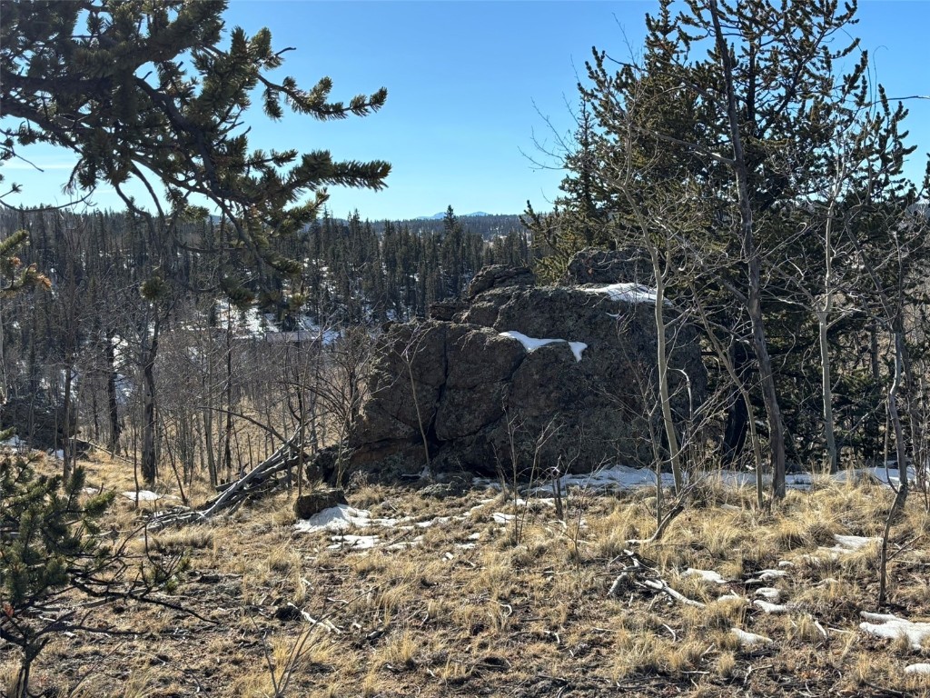 29 Strelets Way Como, CO 80456 - Photo 12 of 21 a view of a backyard of the house