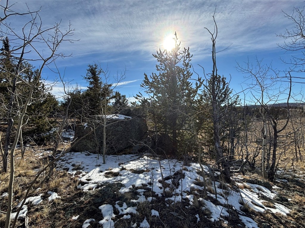 29 Strelets Way Como, CO 80456 - Photo 13 of 21 a view of a backyard