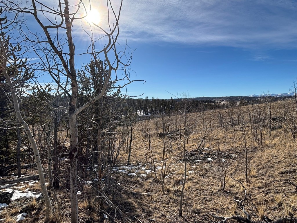 29 Strelets Way Como, CO 80456 - Photo 15 of 21 a view of a yard of the house