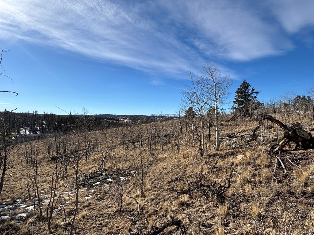 29 Strelets Way Como, CO 80456 - Photo 16 of 21 a view of a building