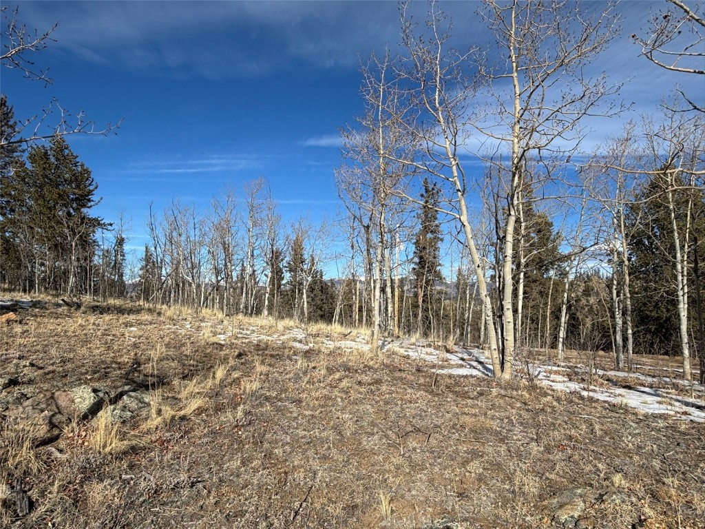 29 Strelets Way Como, CO 80456 - Photo 17 of 21 a backyard of a house with large trees