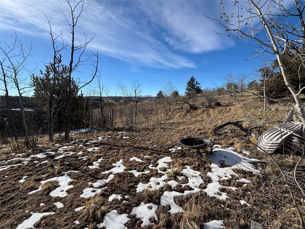 29 Strelets Way Como, CO 80456 - Photo 18 of 21 a view of a tree in a field
