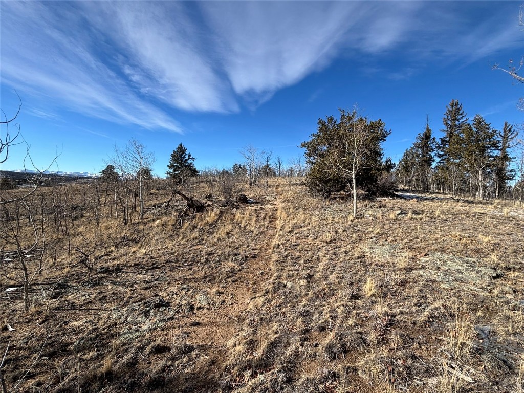 29 Strelets Way Como, CO 80456 - Photo 19 of 21 a view of a dry yard with trees in the background