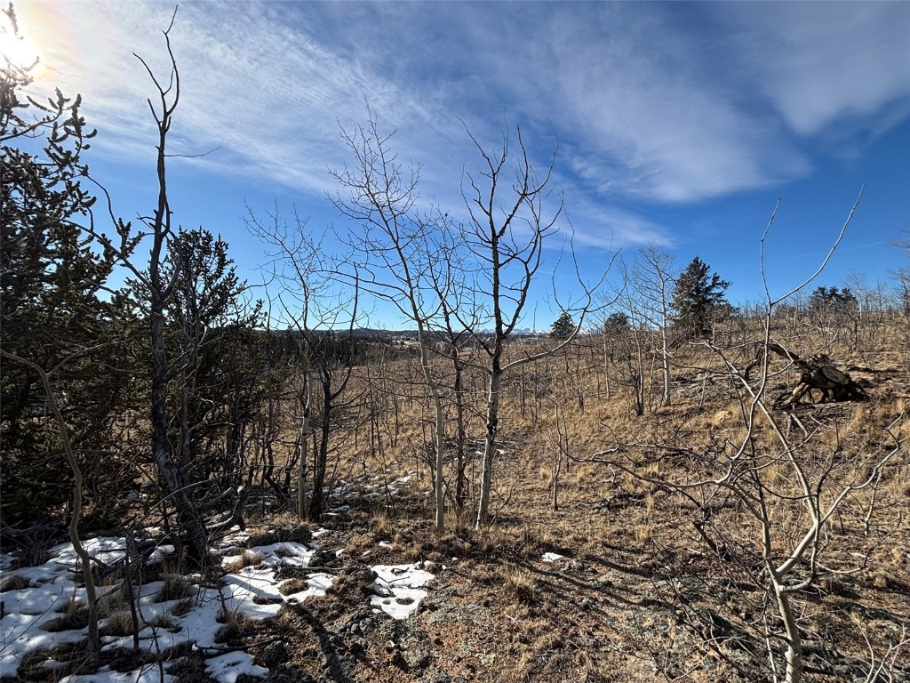 29 Strelets Way Como, CO 80456 - Photo 20 of 21 a view of a dry yard with a tree