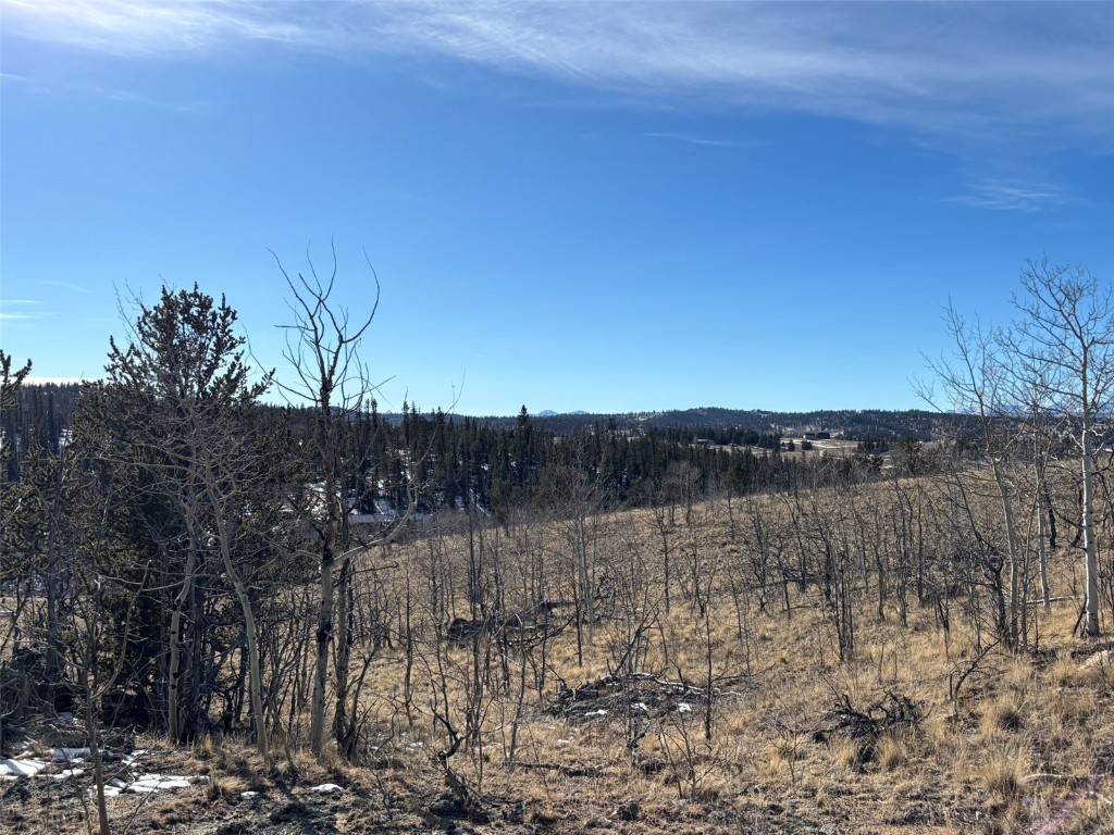 29 Strelets Way Como, CO 80456 - Photo 2 of 21 a view of a lake view