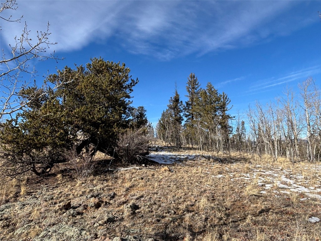 29 Strelets Way Como, CO 80456 - Photo 3 of 21 a view of dirt yard with a large tree