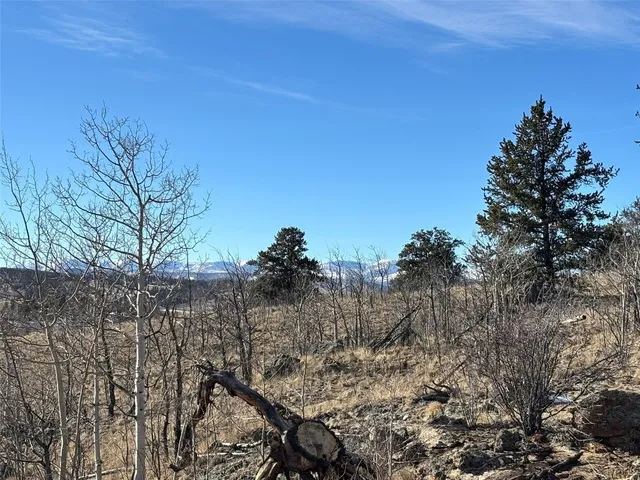 a view of a yard with a tree