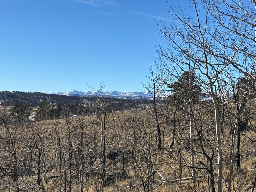 29 Strelets Way Como, CO 80456 - Photo 6 of 21 a view of lake with mountain