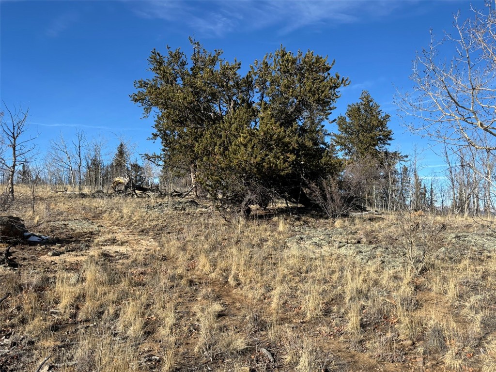 29 Strelets Way Como, CO 80456 - Photo 7 of 21 a view of a yard