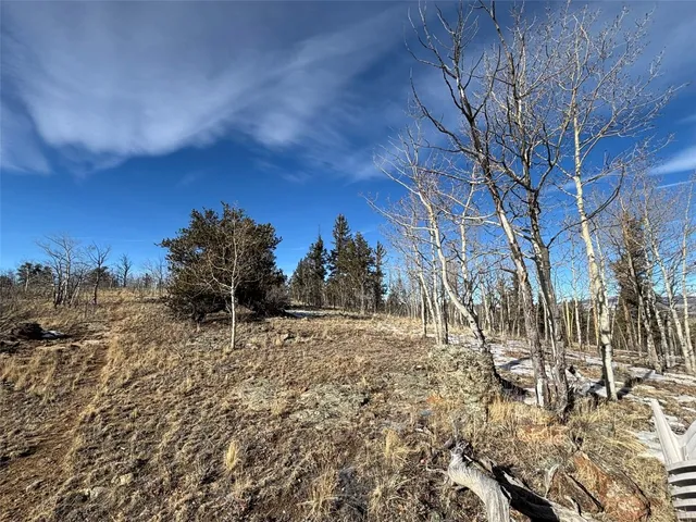 a view of a dry yard with trees