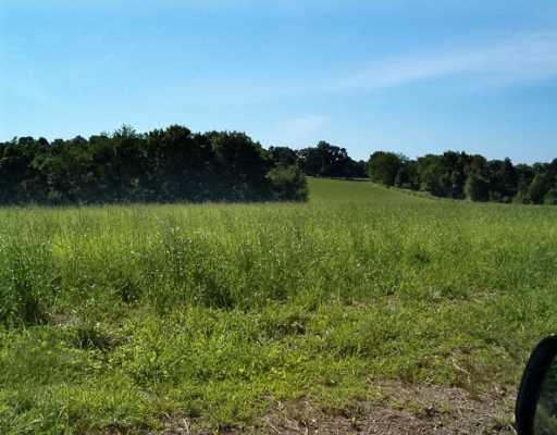 1058 Ridge Road Templeton, PA 16259 - Photo 4 of 6 Land/Lot.