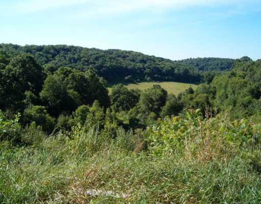 1058 Ridge Road Templeton, PA 16259 - Photo 5 of 6 Land/Lot.