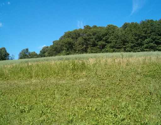 1058 Ridge Road Templeton, PA 16259 - Photo 6 of 6 Land/Lot.