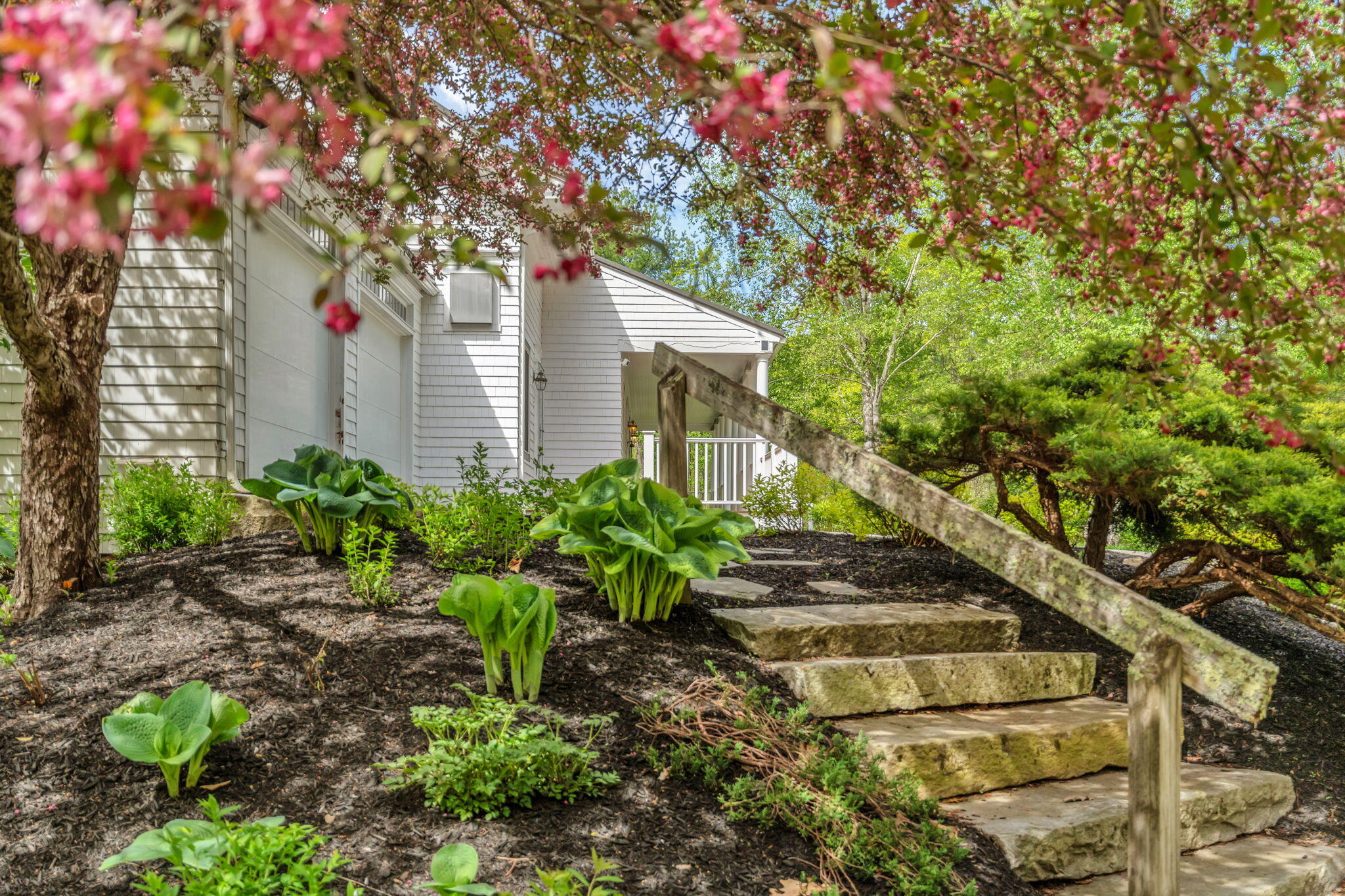 299 Gates Road Jefferson, ME 04348 - Photo 105 of 121 Hostas Galore!