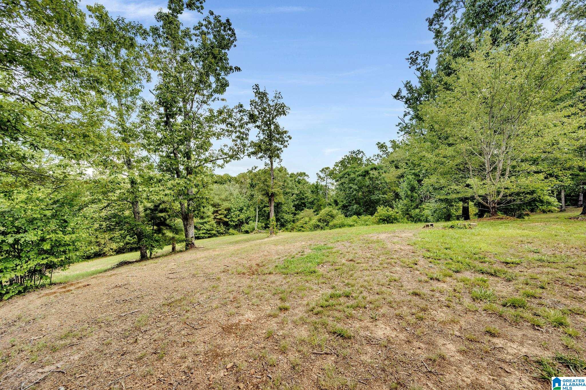 36 Dexter Road Hayden, AL 35079 - Photo 28 of 32
