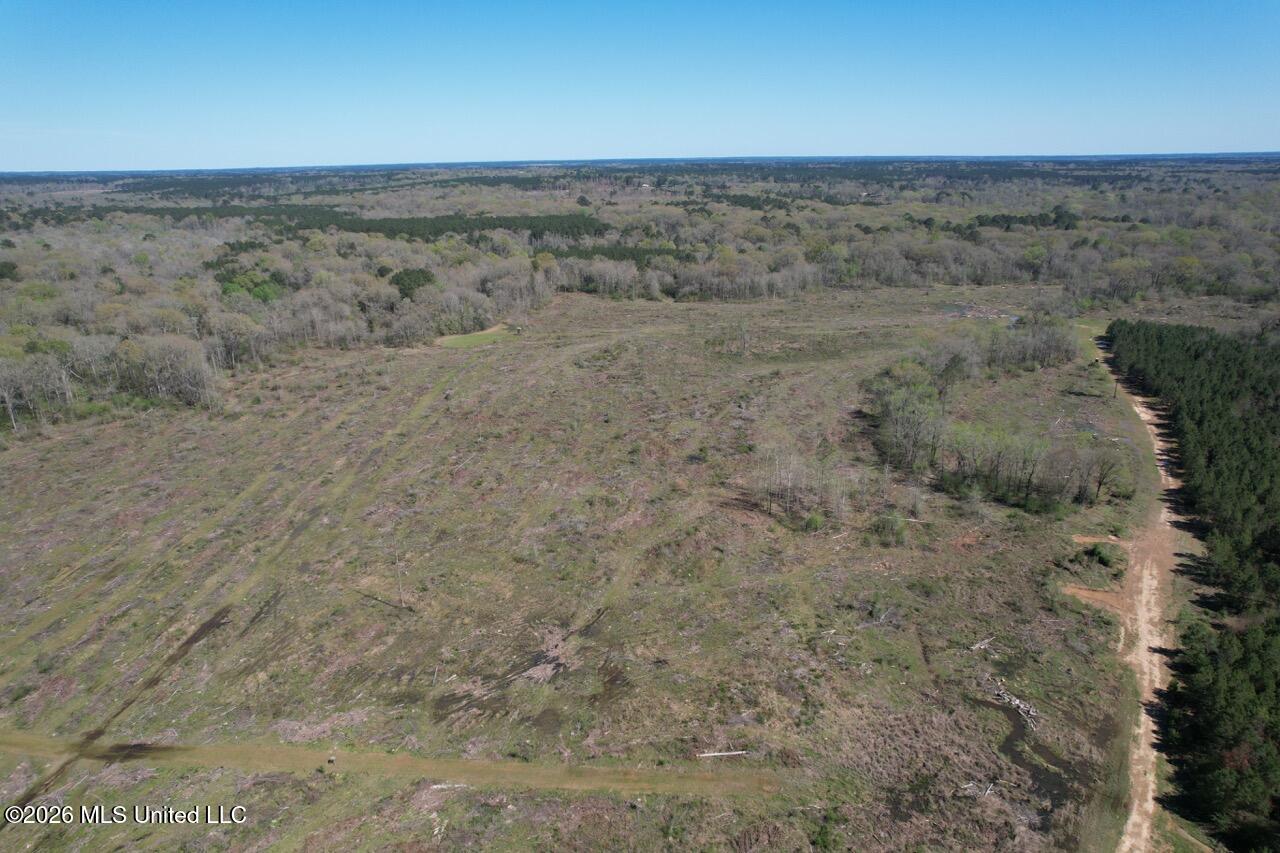1009 Chance Road Centreville, MS 39631 - Photo 12 of 48 DJI_0430 Large