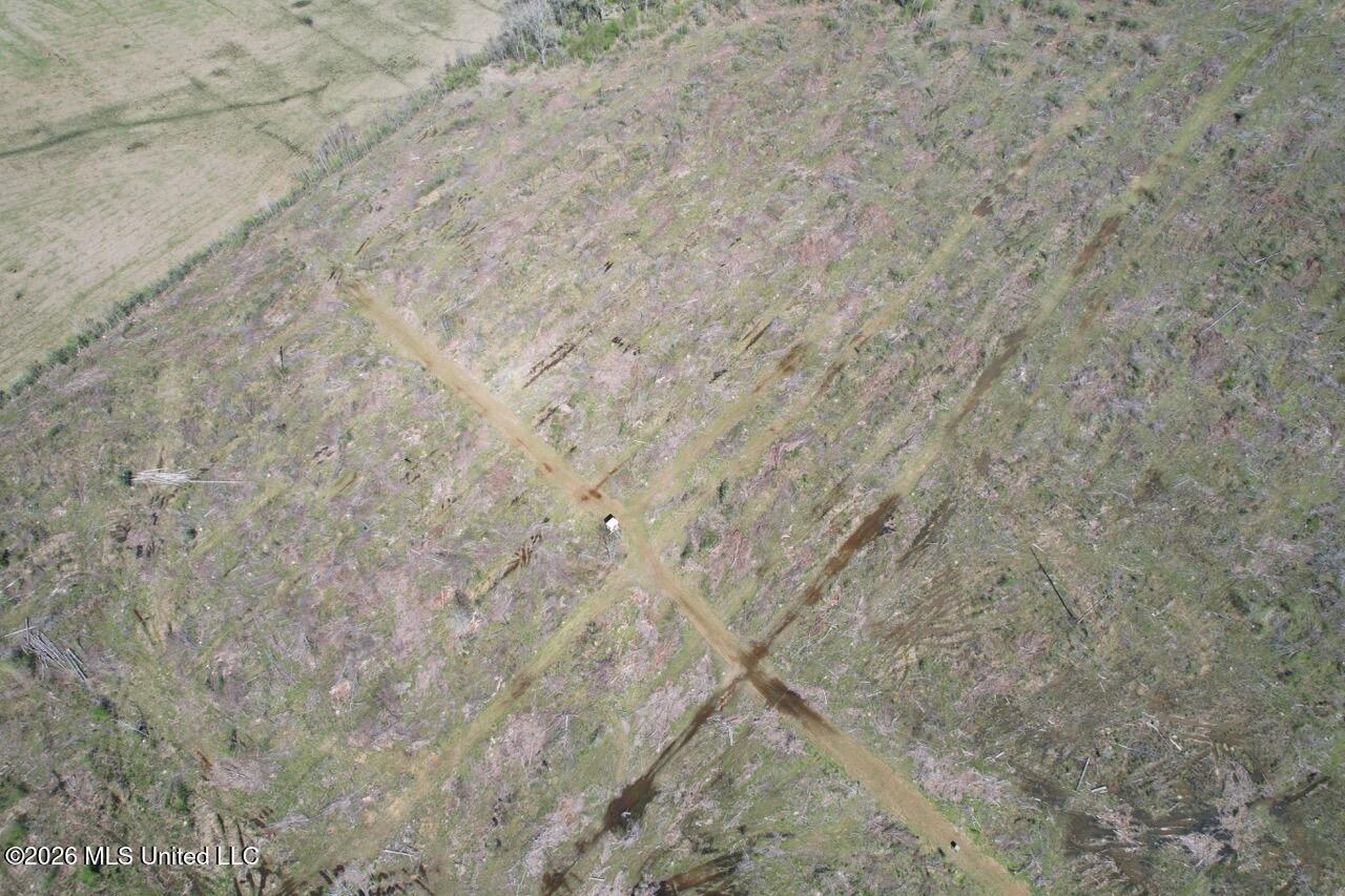 1009 Chance Road Centreville, MS 39631 - Photo 14 of 48 DJI_0432 Large
