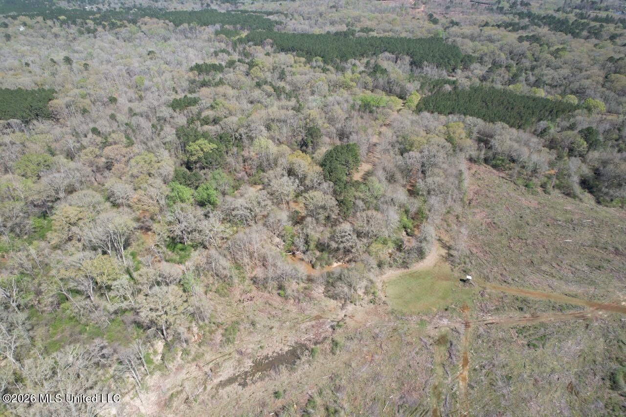 1009 Chance Road Centreville, MS 39631 - Photo 15 of 48 DJI_0434 Large