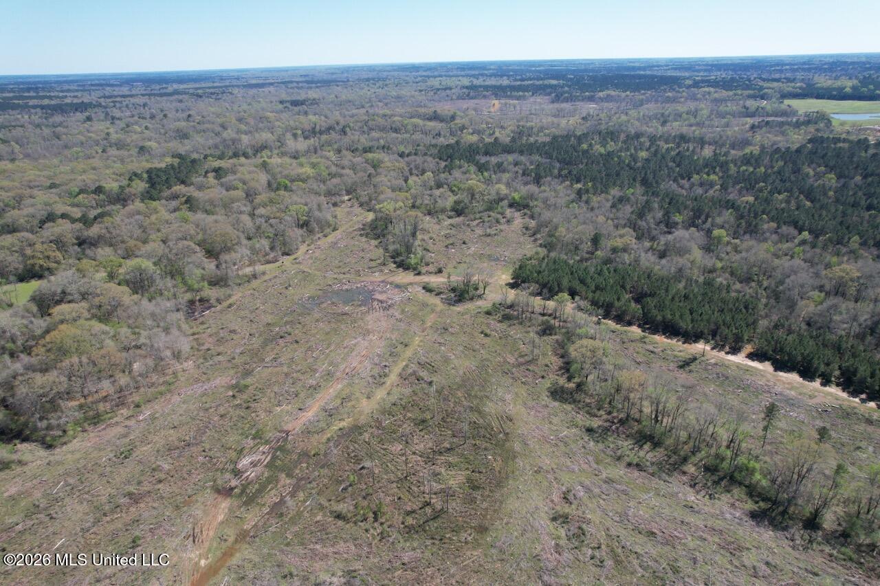 1009 Chance Road Centreville, MS 39631 - Photo 16 of 48 DJI_0435 Large