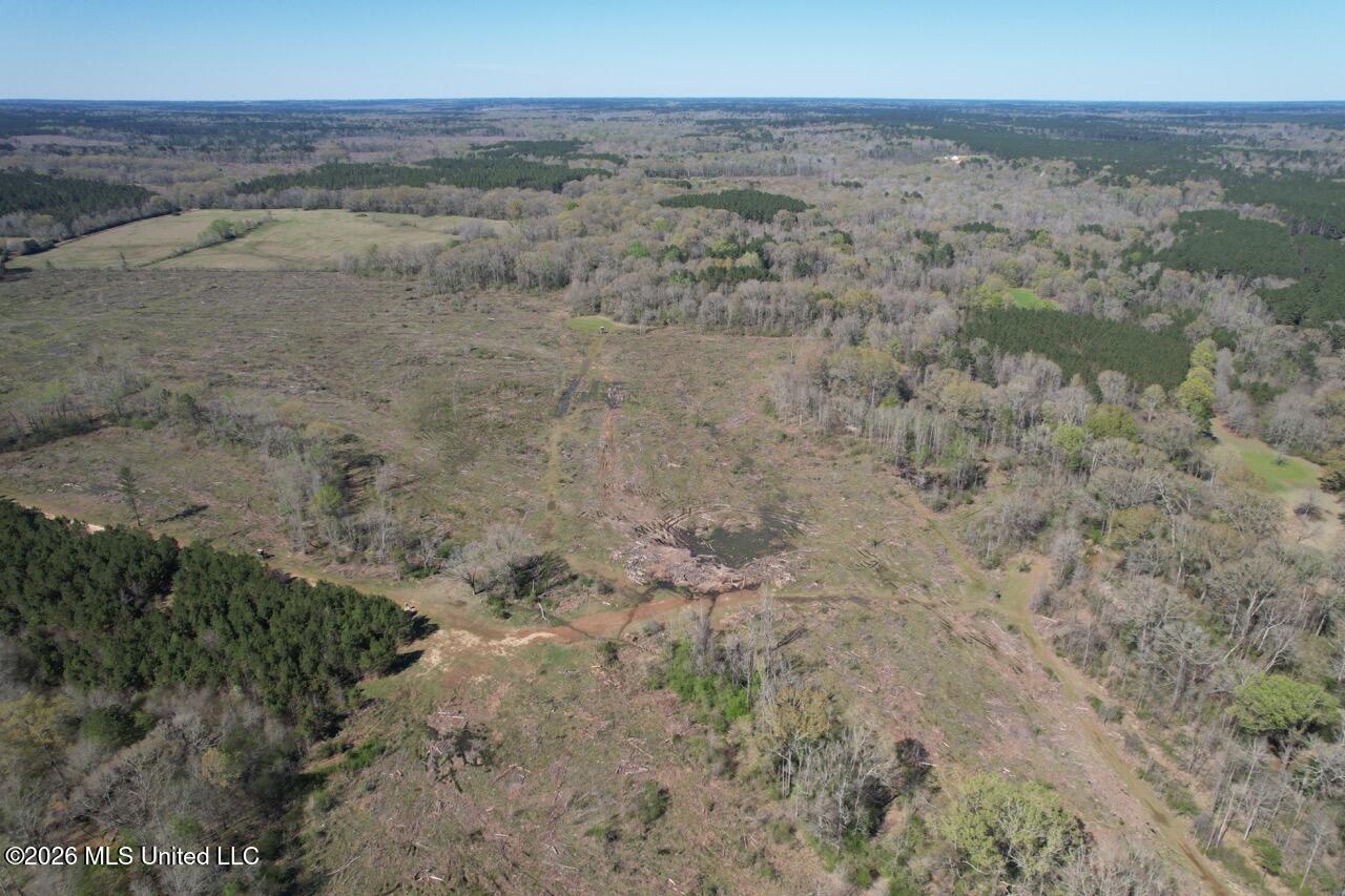 1009 Chance Road Centreville, MS 39631 - Photo 18 of 48 DJI_0441 Large