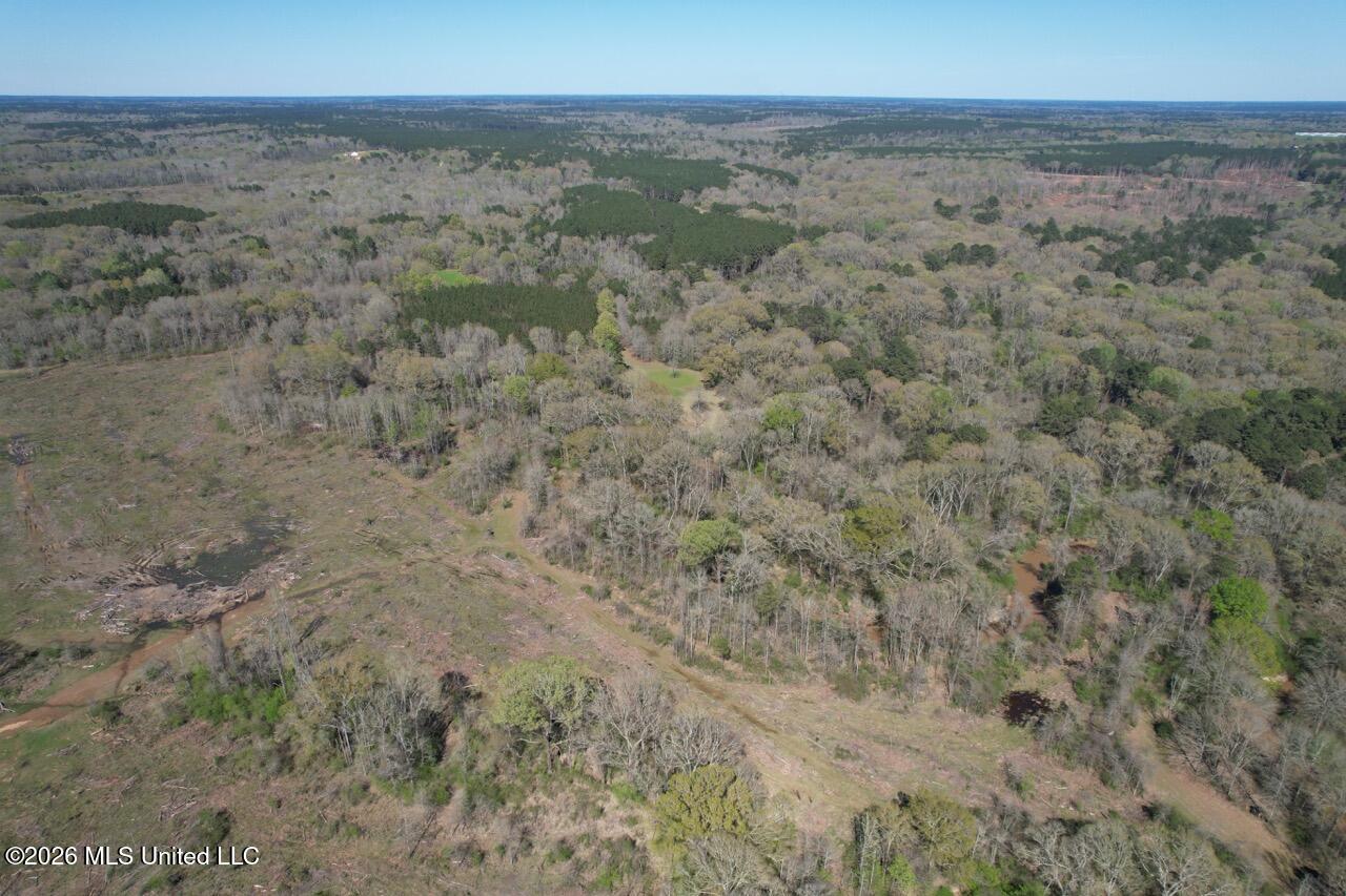 1009 Chance Road Centreville, MS 39631 - Photo 19 of 48 DJI_0442 Large