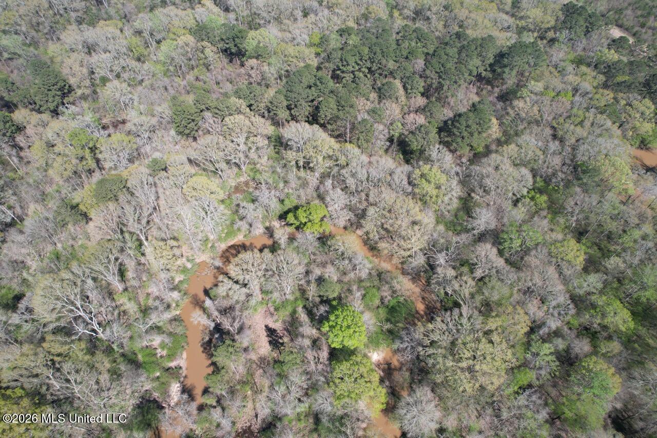 1009 Chance Road Centreville, MS 39631 - Photo 20 of 48 DJI_0444 Large