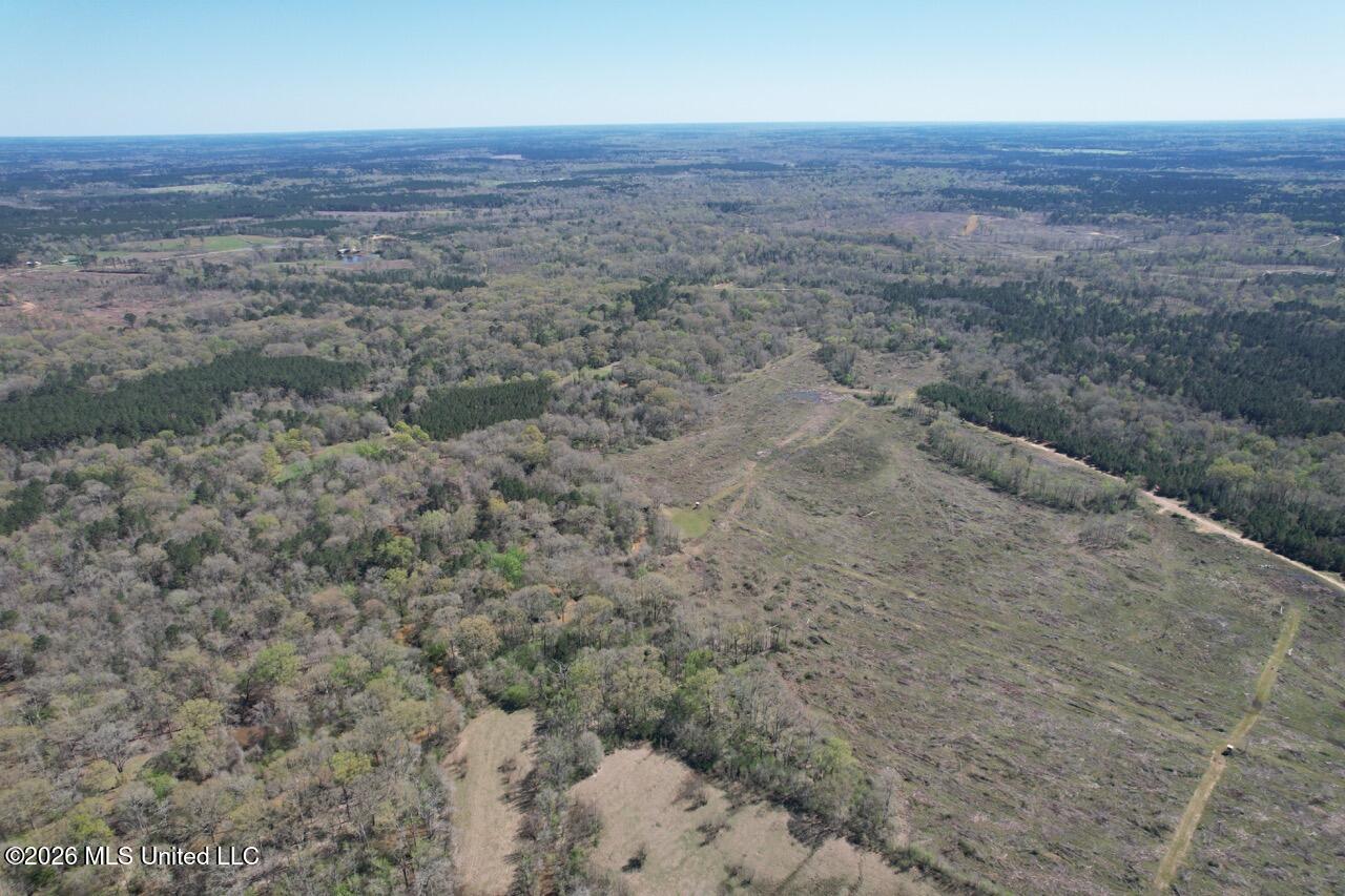1009 Chance Road Centreville, MS 39631 - Photo 2 of 48 DJI_0405 Large