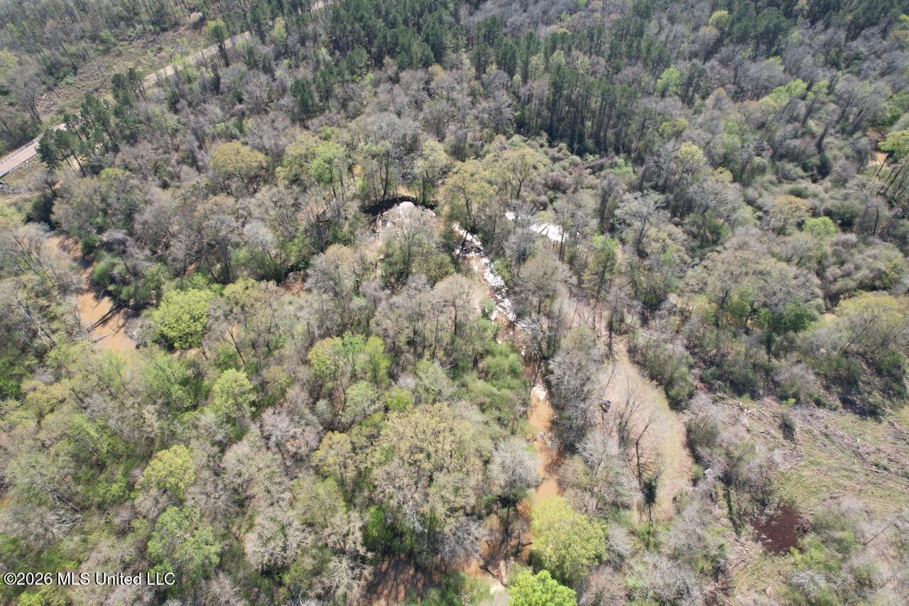 1009 Chance Road Centreville, MS 39631 - Photo 21 of 48 DJI_0445 Large